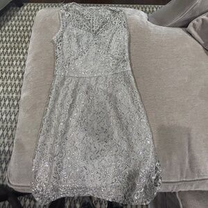 BCBG Silver Lace Dress Size 2P